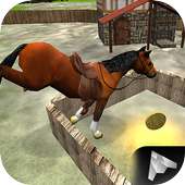 Horse Riding Race 3D