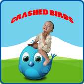 Crashed Birds