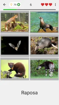 Animais - Os mamíferos e aves Screen Shot 1