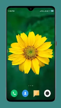 Flowers Wallpaper 4K Screen Shot 10