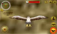 Amerykański Falcon sim 2016 Screen Shot 0