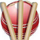 Cricket Team DressUp