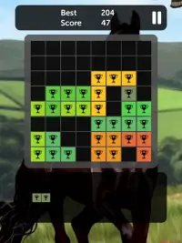 Horse Blocks - Puzzle Games Screen Shot 4