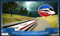 Speed Bullet Train Drive 3D Screen Shot 2