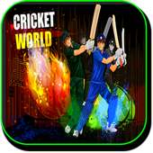 Cricket Game Championship 2019