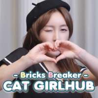 Bricks Breaker Cat Girl Hub