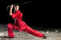 Learn Kung Fu Training 2020 Screen Shot 3