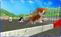 Cute Puppy Dog Racing Sim 2017 Screen Shot 1