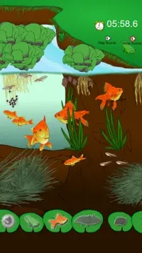 Hidden Fish Screen Shot 2