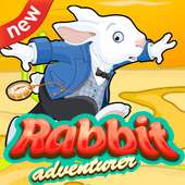 Mr Rabbit Adventures