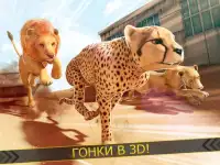 Леопард против Лев Клан - Дикий Саванна Гонки Screen Shot 3