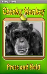 Talking Monkey - Cheeky Monkey Screen Shot 0