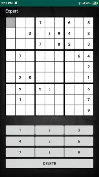 Sudoku Champion Screen Shot 2