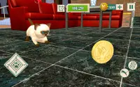 Meow Kitty - Idle Cat Simulator Vs Rat Simulator Screen Shot 1