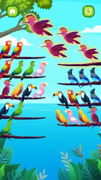 Bird Sort Puzzle Screen Shot 1