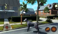 Simulator Anjing Besar Dane Screen Shot 7