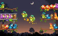 Bird Sort: Color Puzzle Game Screen Shot 20