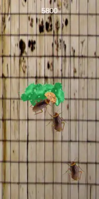 Stop the Cockroach! Screen Shot 2