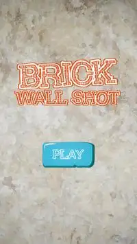 Brick Wall Shot Screen Shot 0