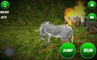 Angry Zebra Simulator Screen Shot 5