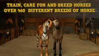 Horse Academy Screen Shot 3