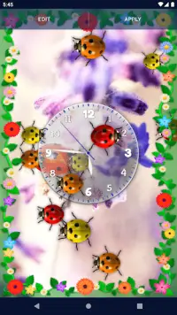 Cute Ladybug Live Wallpaper Screen Shot 2
