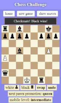 Chess Challenge Screen Shot 3