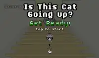 Is This Cat Going Up? Screen Shot 3
