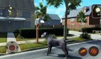 Simulateur de chien Dogue Allemand Screen Shot 15