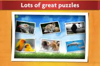 퍼즐 경기 와 동물 - 어린이 및 성인 대상 Screen Shot 6