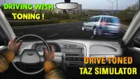 Conduzca virada Taz Simulador Screen Shot 0