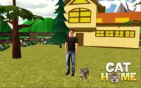 Cat Home: Kätzchen Daycare & Kitty Care Hotel Screen Shot 0