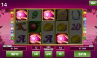 Lucky Lady Deluxe Slots Screen Shot 4