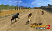 野生のグレイハウンド犬のレース 2 Screen Shot 3