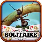 Solitaire: Ant Farm