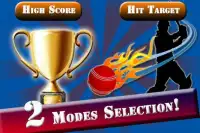 Cricket T20 Power Challenge Screen Shot 3