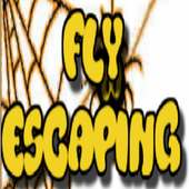 Fly Scaping