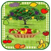 Fruits Catch Game