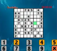 Sudoku Pro Screen Shot 1