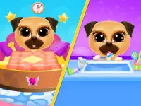 Pug Care Puppy Pet Baby Dog Daycare Screen Shot 4