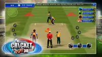 Kriket Oyna 3D: Game Canlı Screen Shot 4