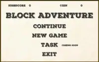 Block Adventure Screen Shot 0