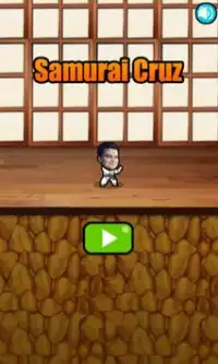 Samurai Cruz Screen Shot 0