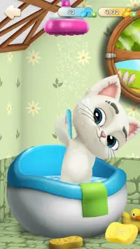 Oscar the Cat - Virtual Pet Screen Shot 6