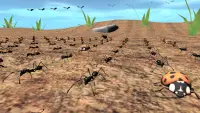 Bug Battle Simulator Screen Shot 0