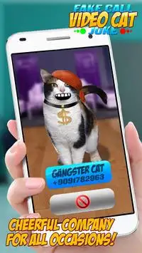Fake Call Video Cat Joke Screen Shot 0