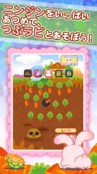 つぶラビ！〜かわいいうさぎの育成ゲーム Screen Shot 2