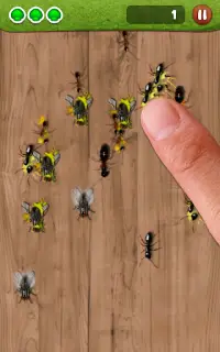 Ant Smasher Screen Shot 8
