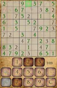 Sudoku PRO Screen Shot 1