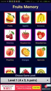 Fruits Memory Screen Shot 0